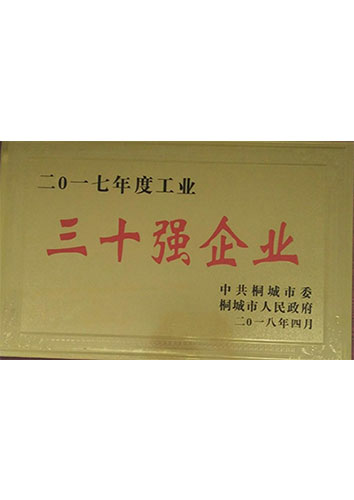 2017年度30强企业