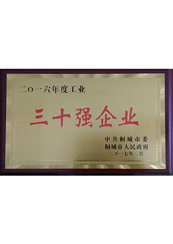 2016年度30强企业